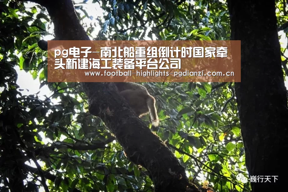 pg电子-南北船重组倒计时国家牵头新建海工装备平台公司(图3)