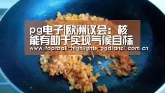 pg电子|欧洲议会:核能有助于实现气候目标(图2) pg娱乐中心官网