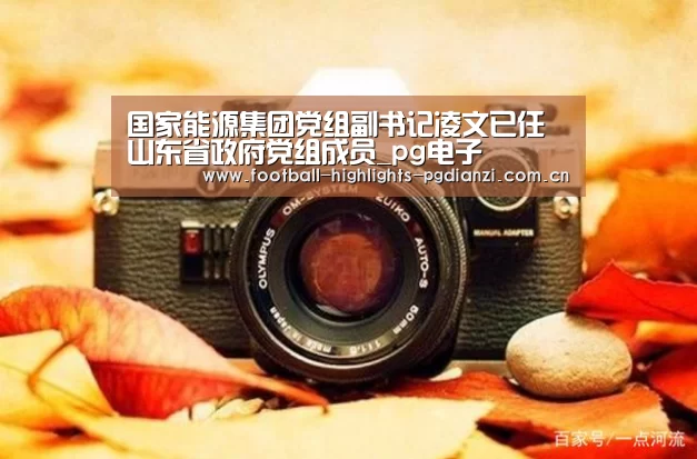 国家能源集团党组副书记凌文已任山东省政府党组成员_pg电子(图1) pg电子